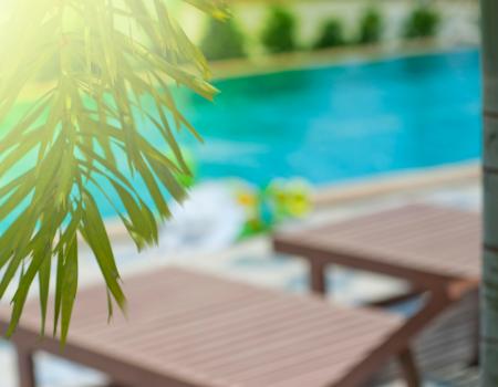 backyard pool with chairs and palm trees