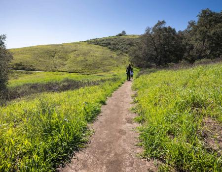 hiking in orange county california