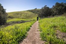 hiking in orange county california